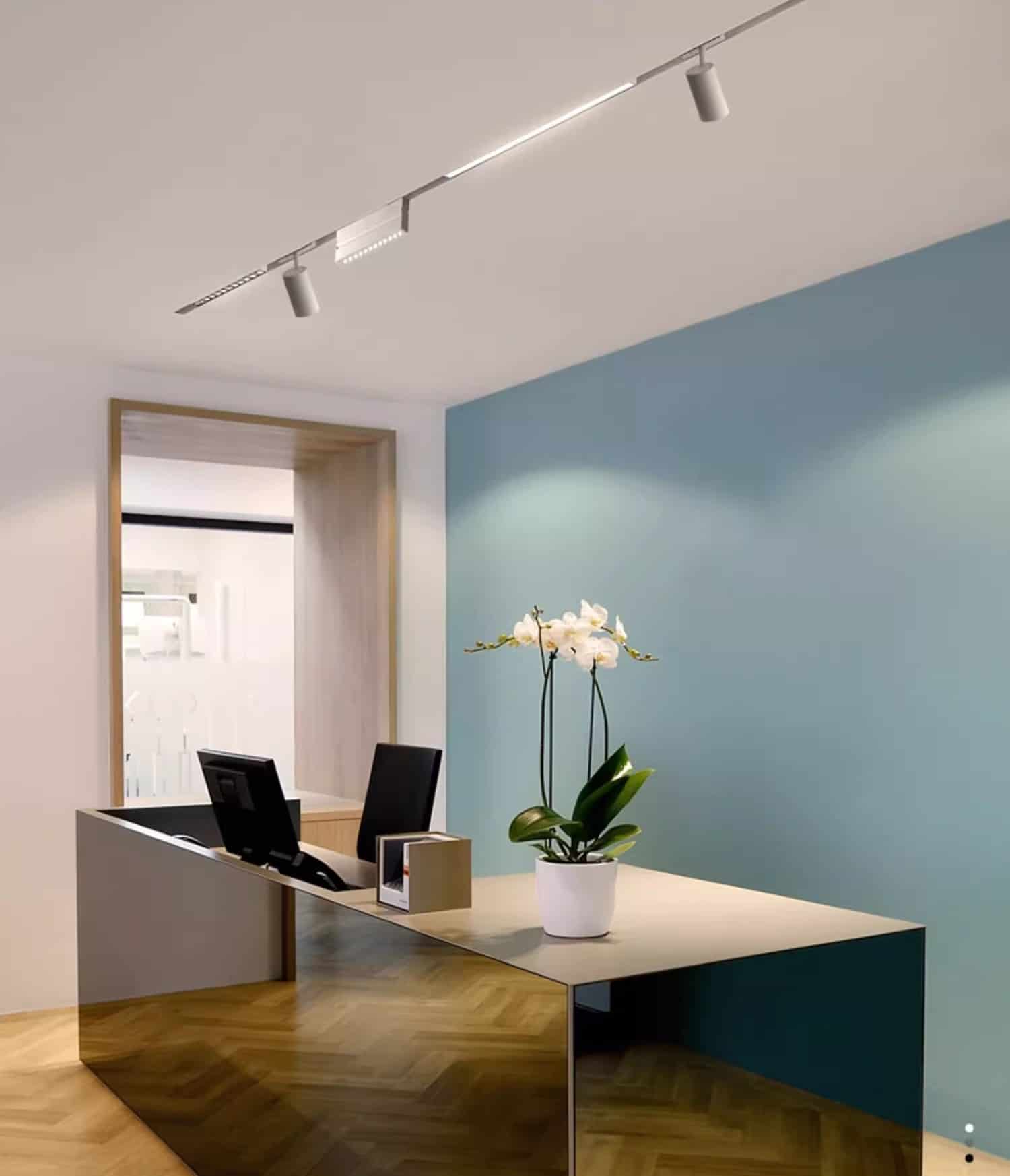 đèn ray nam châm thông minh 1