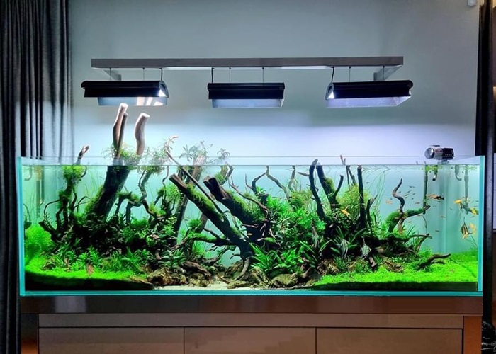 đèn spotlight bể cá 1