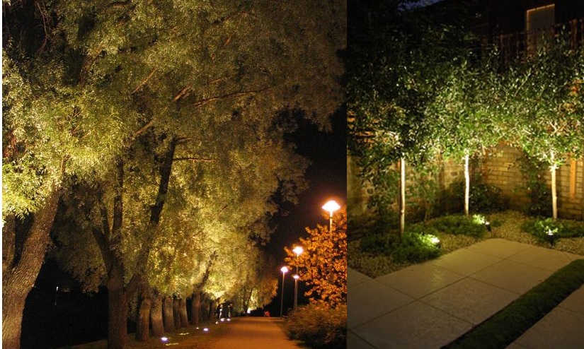 đèn spotlight chiếu cây 2