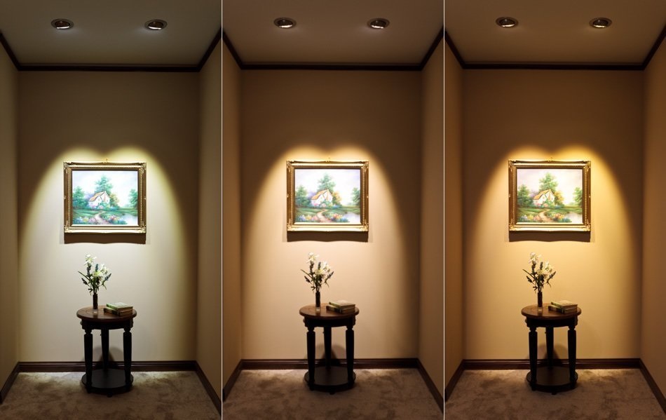 đèn spotlight chiếu tranh 5