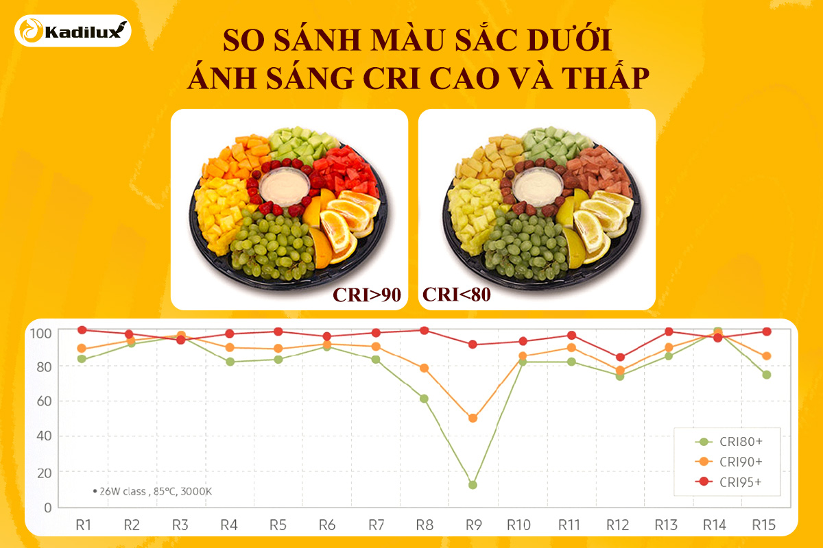 Chỉ số CRI >90 và R9 >50 của đèn spotlight Kadilux hiển thị màu sắc chân thực