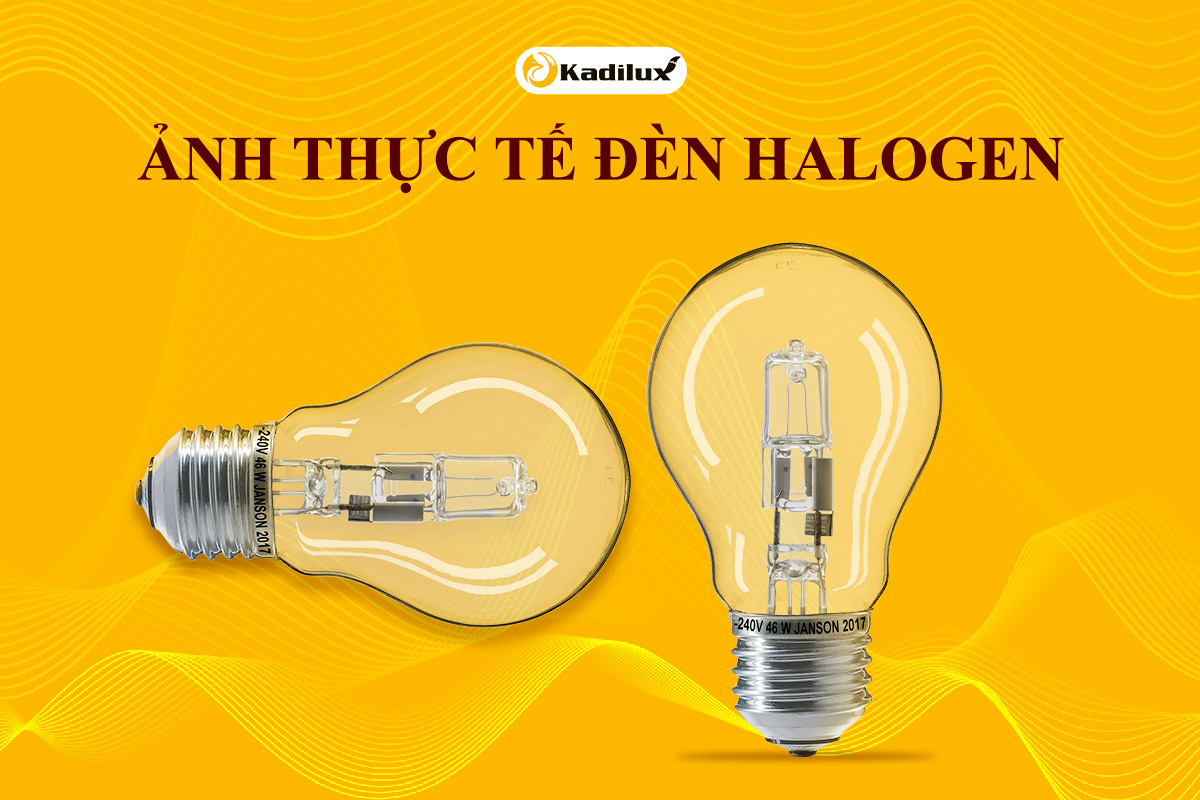Đèn spotlight halogen với gương phản xạ dichroic và bóng thạch anh