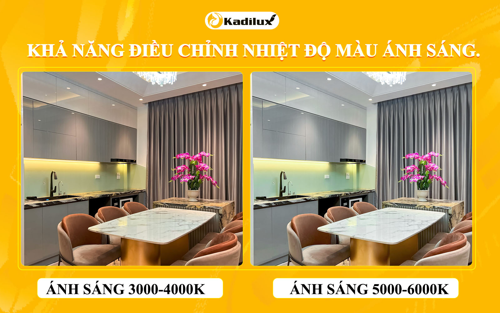  Đèn spotlight Tunable White với khả năng điều chỉnh nhiệt độ màu ánh sáng.
