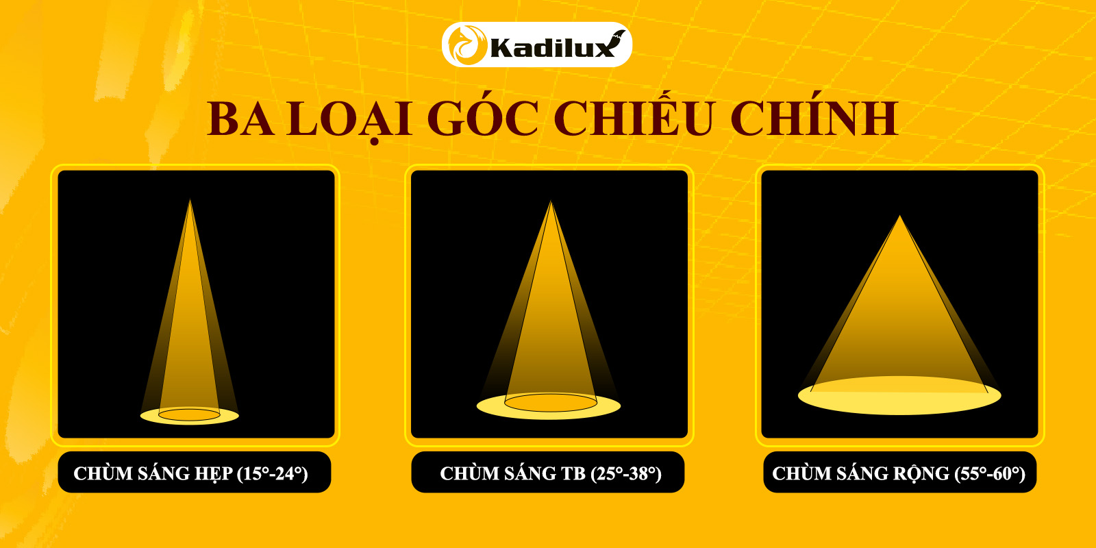 Minh họa góc chiếu 15°, 30°, 60° của đèn spotlight và ứng dụng phù hợp