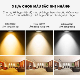 Đèn Spotlight 3 màu là gì? TOP 5 mẫu đèn spotlight 3 màu chiếu sáng linh hoạt, nâng tầm không gian
