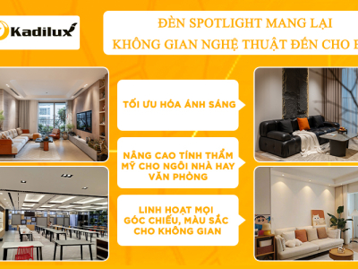 Mẹo trang trí với đèn Spotlight: Từ phòng khách đến nghệ thuật 