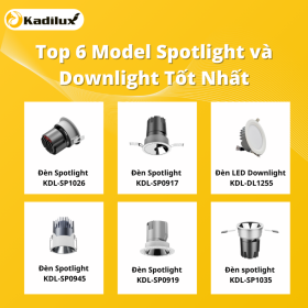 So Sánh Đèn Spotlight và Downlight: Hướng Dẫn Toàn Diện Lựa Chọn Giải Pháp Chiếu Sáng Tối Ưu 2025