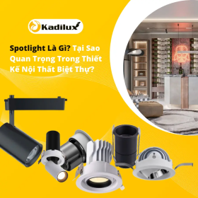 Ứng Dụng Đèn Spotlight Trong Thiết Kế Nội Thất - Nâng Tầm Không Gian Bằng Ánh Sáng Điểm Nhấn